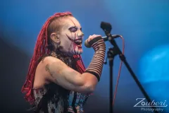 Circus Of Fools at Festival-Mediaval 2025