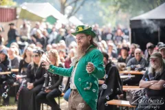 festival-mediaval-2025-impressionen-021