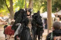 festival-mediaval-2025-impressionen-038