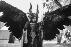 festival-mediaval-2025-impressionen-039