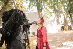 festival-mediaval-2025-impressionen-041