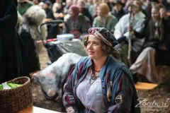 festival-mediaval-2025-impressionen-123