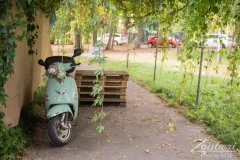 festival-mediaval-xv-2024-outtakes-002