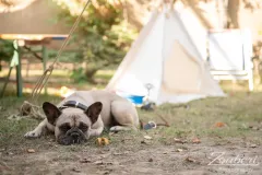 festival-mediaval-xv-2024-outtakes-004