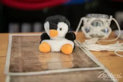 festival-mediaval-xv-2024-outtakes-008