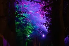 festival-mediaval-xv-2024-outtakes-090