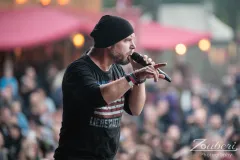 festival-mediaval-2025-letzte-instanz-10