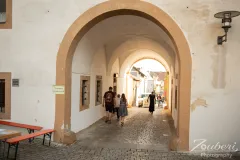 rockknight-vilseck-2025-outtake-02