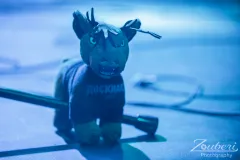 impressions-tanzt-festival-2025-05