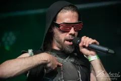 hoernerfest-2026-vogelfrey-06