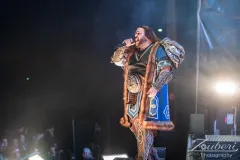 festival-mediaval-2025-wind-rose-01